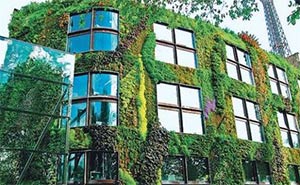 Вертикальное озеленение должно стать повсеместным в Москве – эксперт