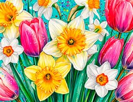 «ТБМ» поздравляет с Международным женским днем! class= «ТБМ» поздравляет с Международным женским днем!