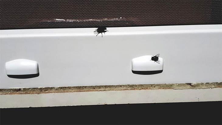 Ноу-хау от насекомых – противомоскитная дренажная заглушка для окон ПВХ