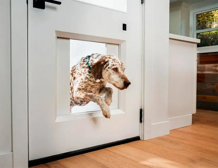 myQ. Когда животное с датчиком на ошейнике приближается, дверка автоматически открывается по принципу кабины лифта