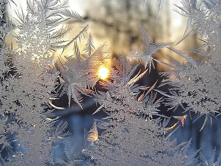 Зимнее солнце быстро справится с лёгкой изморозью на оконном стекле