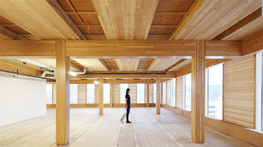 Когда деревья станут большими: в России можно будет строить многоэтажные здания из древесины