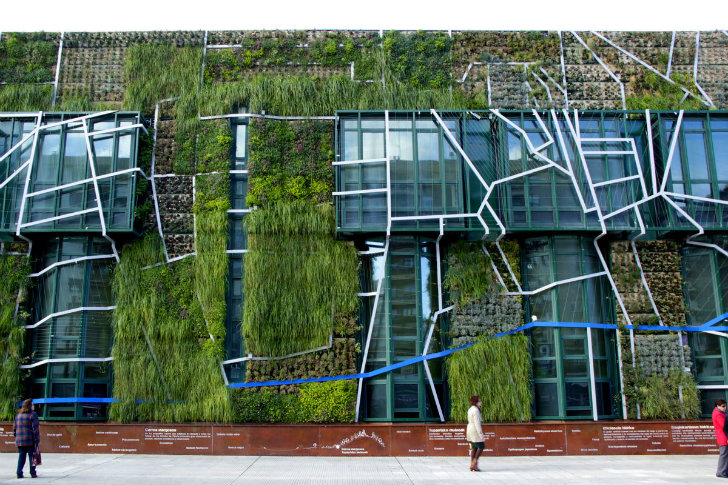 Вертикальное озеленение как естественная защита от перегрева здания