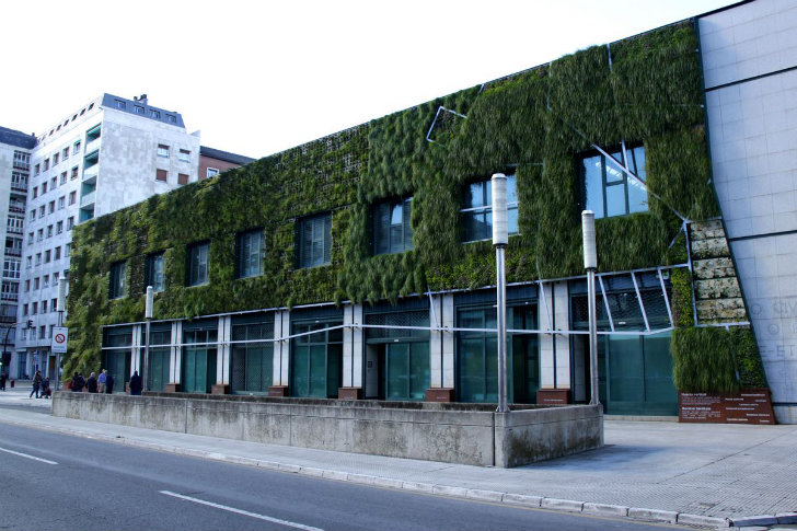 Вертикальное озеленение как естественная защита от перегрева здания