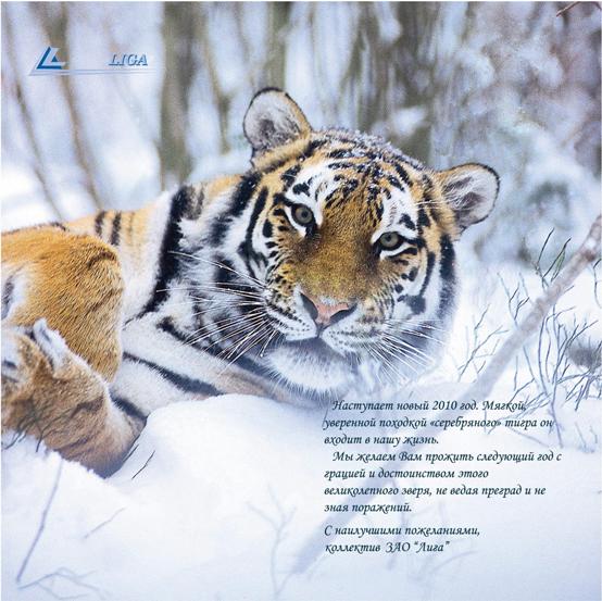 Поздравление С Новым 2010 Годом