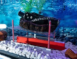 Цепной привод для влажных зон: когда стандартные решения не справляются class= Цепной привод для влажных зон: когда стандартные решения не справляются