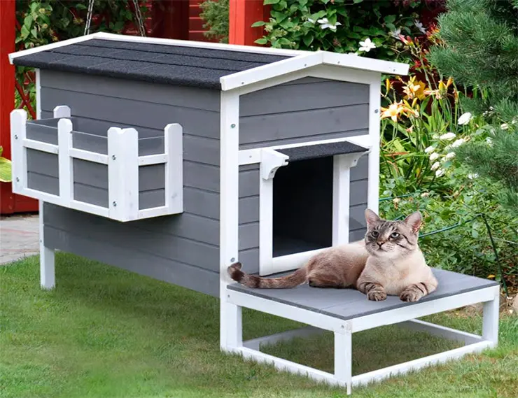 Кошки вдохновляют архитекторов на необычную геометрию окон