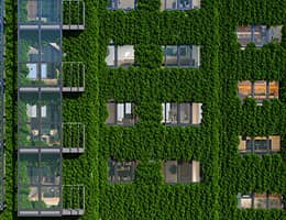 В России будут развивать вертикальное озеленение фасадов