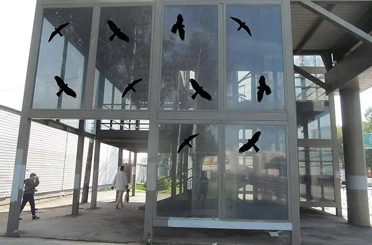 Комитет по природопользованию объяснил, как защитить перелётных птиц от столкновений с окнами